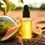 BIO Kalahari meloun - 100% přírodní esenciální olej (10ml) - Pěstík