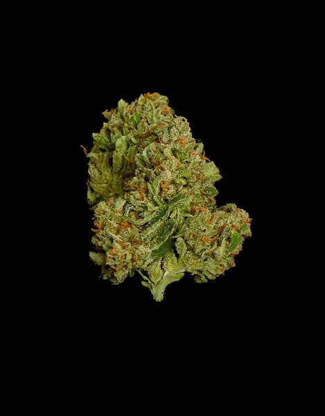 Epsilon F1 - autoflowering Marihuana Samen 3Stck, Royal Queen Seeds