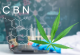CBN - a new cannabinoid with significant therapeutic potential