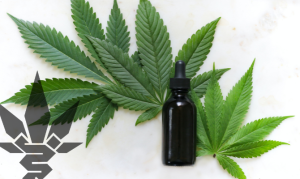Hemp soaked in alcohol as a balm, instead of Alps?