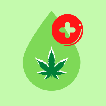 Aktuell: Legalisierung von CBD in der Slowakei