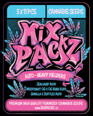MIX PACKZ Auto Heavy Yielders, samonakvétací semena, 33 ks