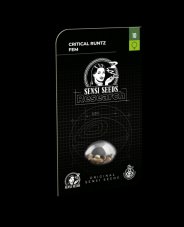Critical Runtz - Feminizovaná semena konopí 10 ks, Sensi Seeds