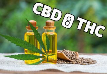 Das ideale Verhältnis von CBD und THC: Wie man das Beste für die eigenen Bedürfnisse findet?
