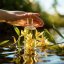 BIO Ylang ylang - 100% natural essential oil 10 ml