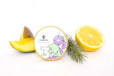 CBD Blueberry (1:16) - feminizované semienka 3 ks Cannapio