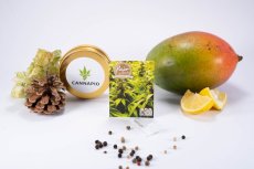 Indoor MIX - feminisierte Samen 5 Stück Fair Seeds