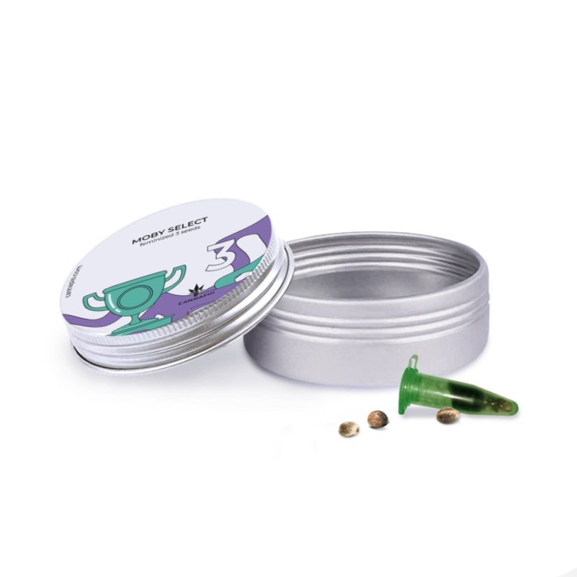 Moby Select - feminized seeds 3 pcs Cannapio