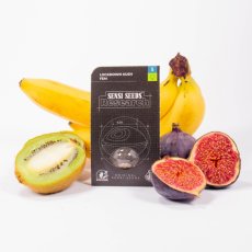 Lockdown Kush - Feminizované semienka konope 10 ks, Sensi Seeds