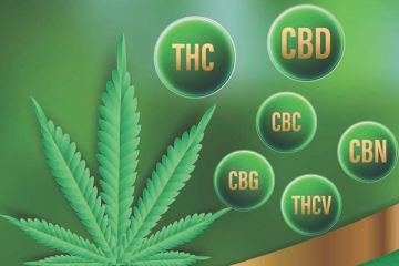 I Cannabinoidi Principali della Cannabis: Guida Completa