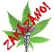 Medical Marijuana - What and How It Treats