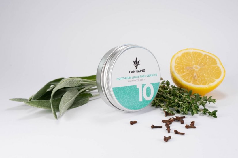 Wersja Northern Light Fast - 10 sztuk feminizowanych nasion Cannapio