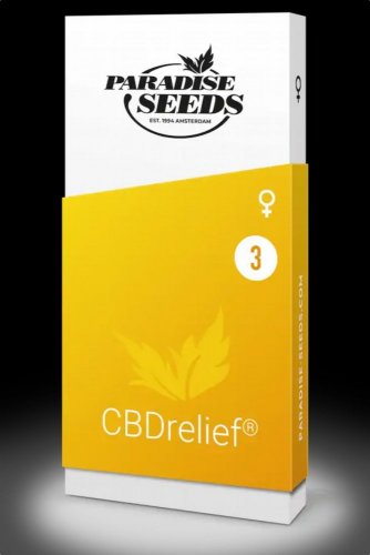 CBDrelief - feminisierte Samen 3pcs Paradise Seeds
