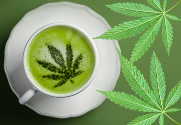Energiezufuhr und Entspannung in einem: Magische Kombination aus CBD-Öl und Kaffee