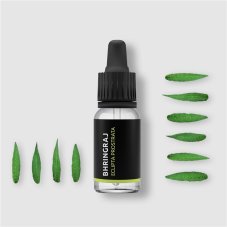 Bhringraj - 100% natürliches ätherisches Öl 10ml