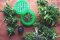 CANNABIS SHREDDERS: A GUIDE TO USING THEM AND TIPS FOR CHOOSING THE BEST MODEL