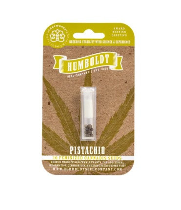 Pistachio - feminized marijuana seeds 3 pcs Humboldt Seed Company