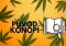 Древната история на конопа: Пътят на растението по света