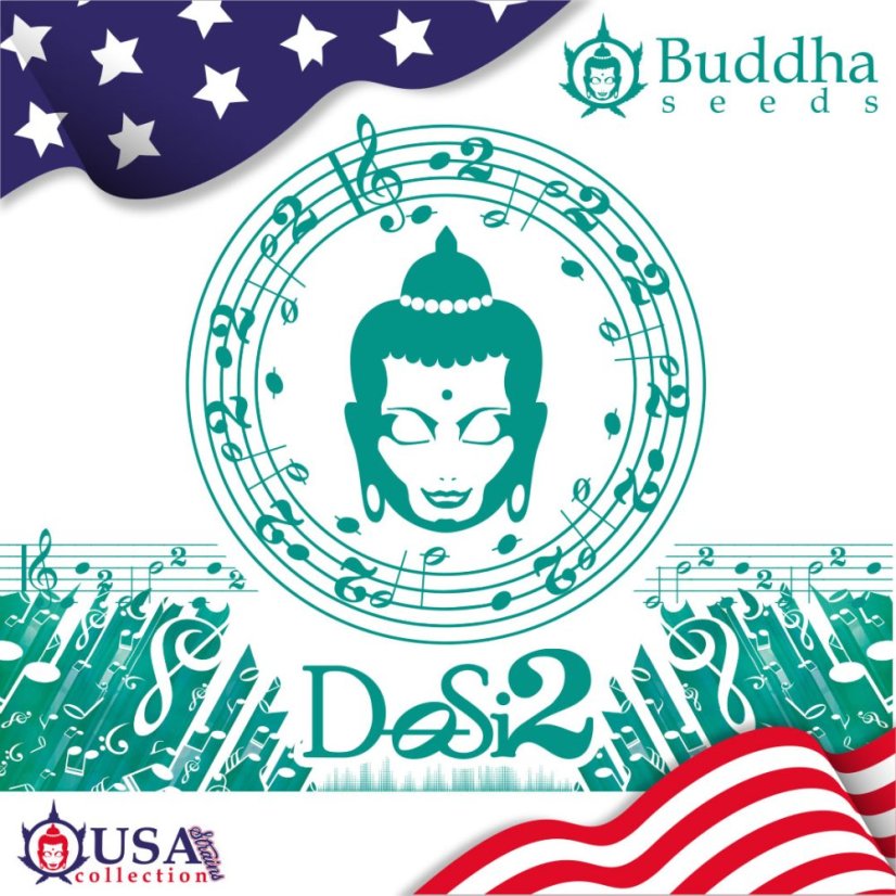 Buddha DoSi2, 3 ks