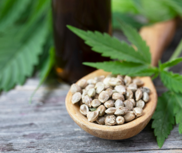 How to Search Cannabis Seeds