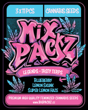 MIX PACKZ Legends Tasty Terps, feminizovaná semena, 33 ks