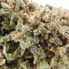 Gorilla Glue - CBD Flowers Cannapio, 2g