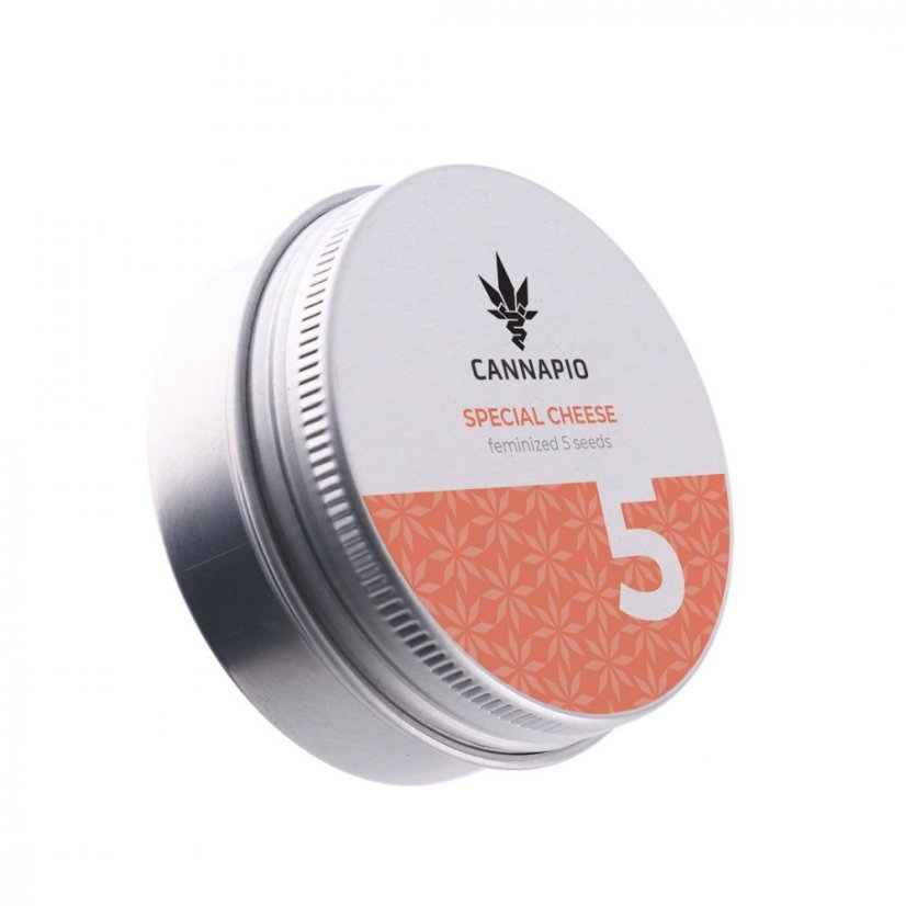 Special Cheese - 5 ks feminizované semienka Cannapio