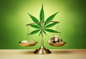 Aceite de CBD Económico: Por Qué Evitar Productos de Baja Calidad