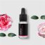 BIO Camellia - 100% natural essential oil 10 ml