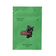 Bruce Banger - feminizované semienka konope 5 ks, Seedsman
