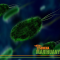 Gut Microbiota and Endocannabinoid System