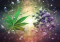 CBD vs. melatonin: Which one to use for better sleep?