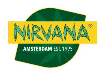 Nirvana seeds: Čerstvá novinka semen marihuany u nás!