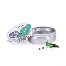 Kush Classic - nasiona feminizowane 3 szt. Cannapio
