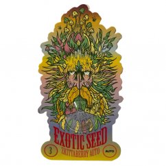 Zkittaberry Auto - autoflowering marijuana seeds, 3pcs Exotic Seed