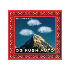 OG Kush Auto Feminizowane Nasiona - 25