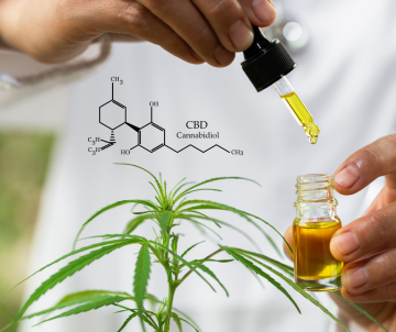 Möglichkeiten des Konsums von Cannabis als unterstützende Behandlung (STUDIE 2019)