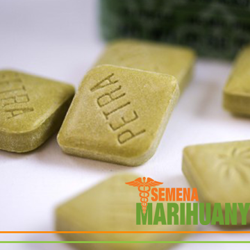 Hemp Peprmintky lub The Future znajduje się w Mikrodávky