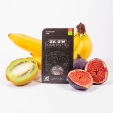 Aloha OG - feminisierte Hanfsamen 3 Stück, Sensi Seeds