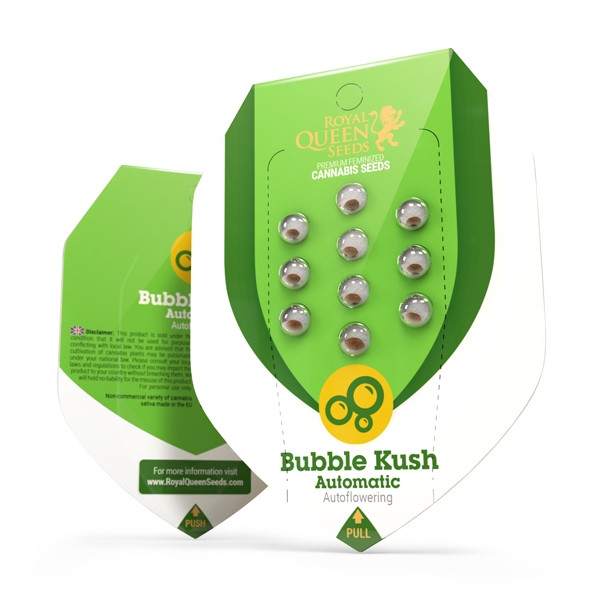 Bubble Kush - samonakvétací semínka 3 ks Royal Queen Seeds