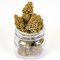 Cannabis and Women's Health