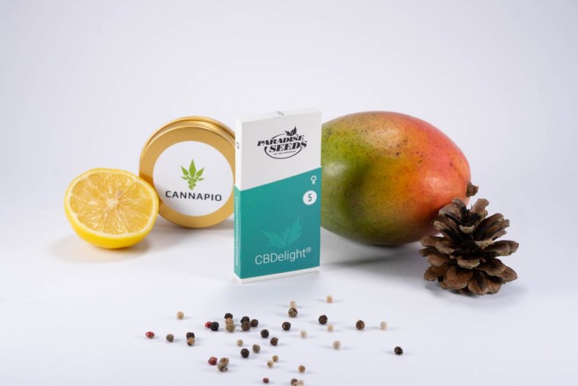 CBDelight - feminizovaná semienka 5ks Paradise Seeds