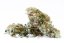 Super Silver Haze CBG - Indoor CBD flowers Cannapio 100g