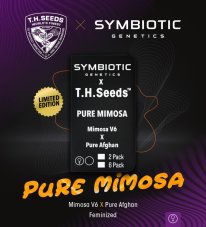 T.H. Seeds x Symbiotic Pure Mimosa feminizované semená