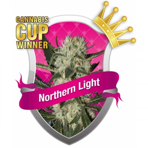 Northern Light - feminizovaná semínka 5 ks Royal Queen Seeds