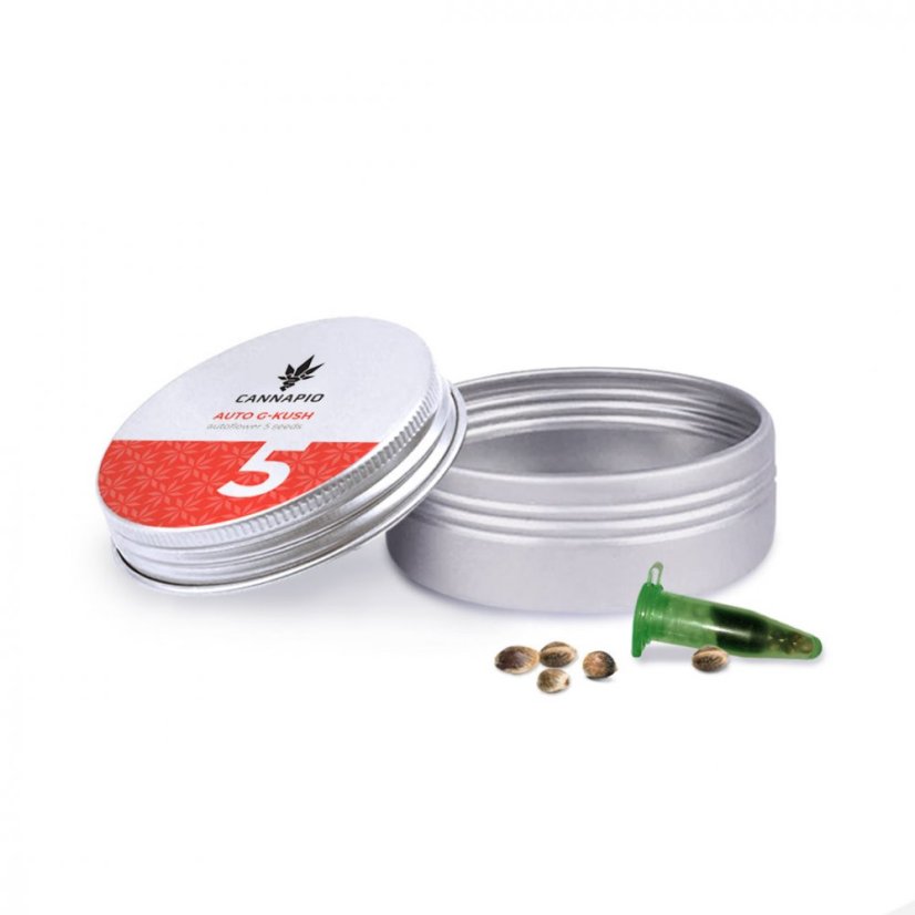 Auto G-Kush - samonakvétací semínka 5 ks Cannapio