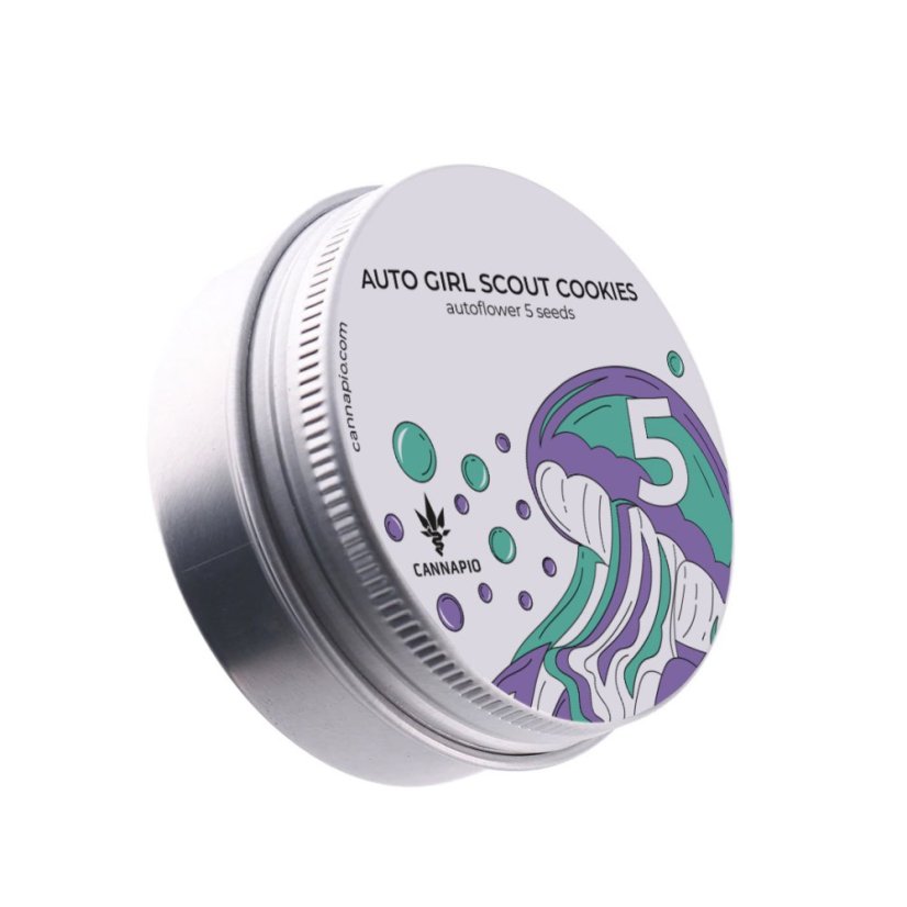 Auto Girl Scout Cookies - selbstblühende Samen 5 Stück Cannapio