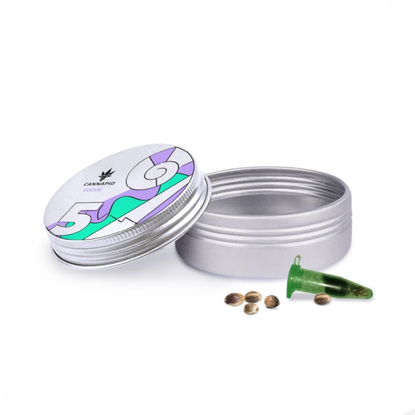 Focus - 5pcs feminized seeds Cannapio