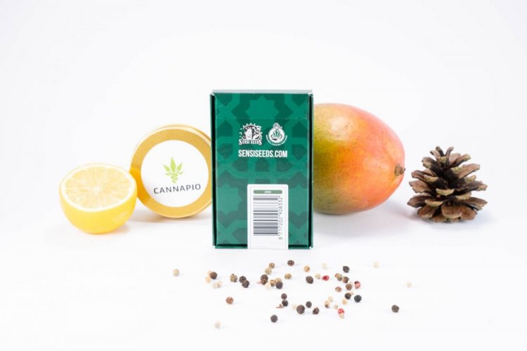 Fruity Juice - standardizovaná semínka 10 ks Sensi Seeds