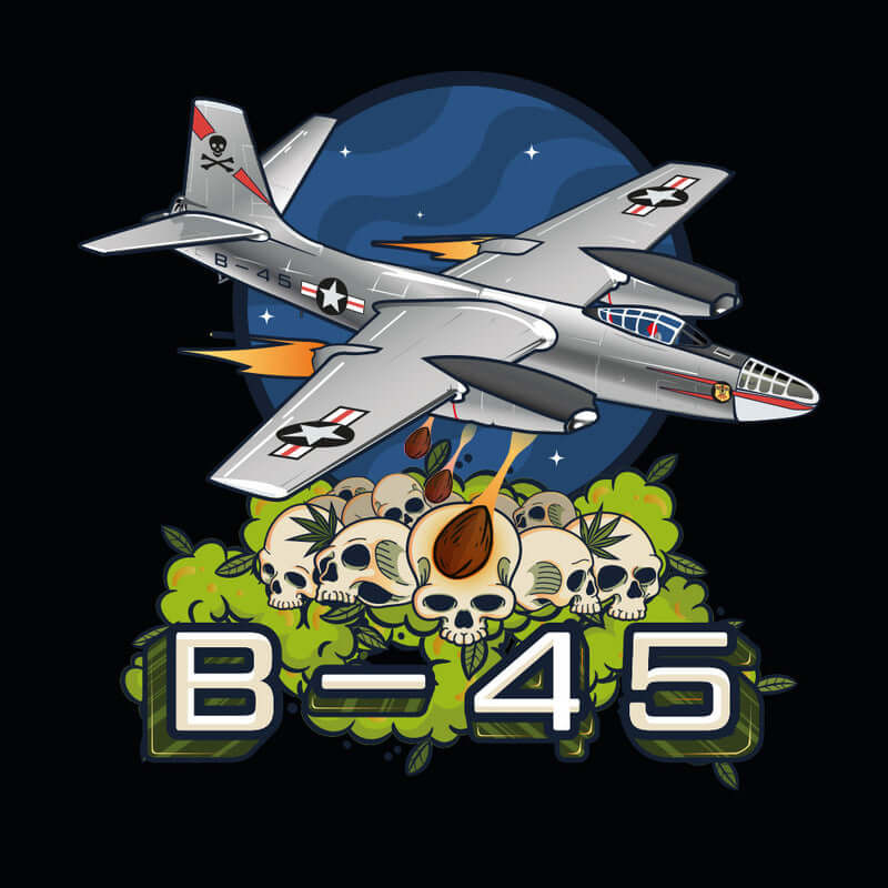 B-45 by BOOBA - feminizované semena 5ks, Silent Seeds